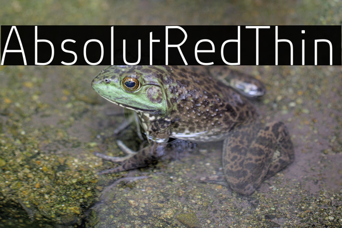 AbsolutRed-Thin Example 2