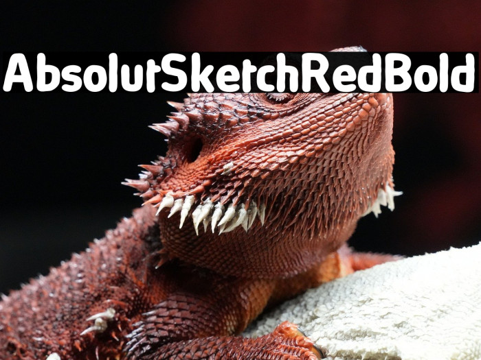 AbsolutSketchRed-Bold Example 1