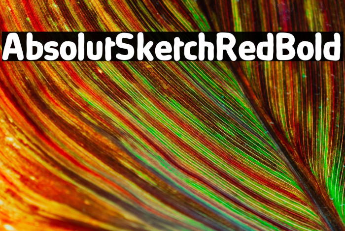 AbsolutSketchRed-Bold Example 2