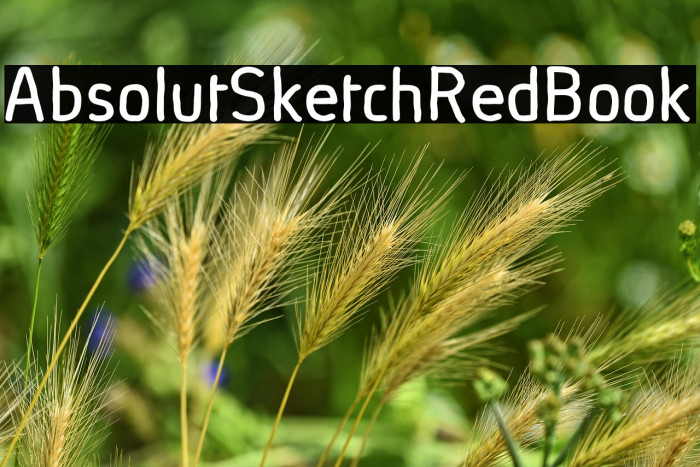 AbsolutSketchRed-Book Example 3