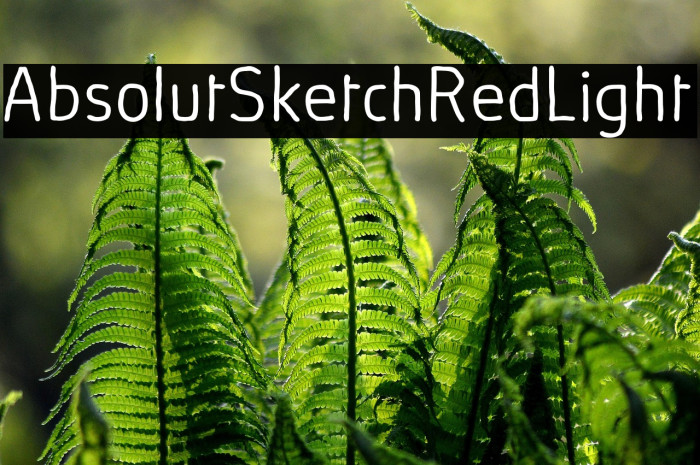 AbsolutSketchRed-Light Example 3