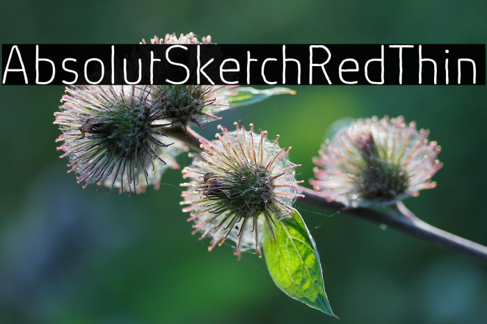 AbsolutSketchRed-Thin Example 1