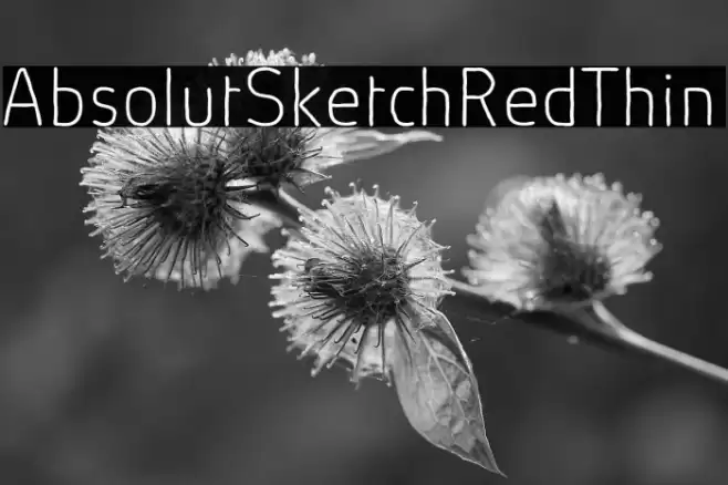 AbsolutSketchRed-Thin Font examples