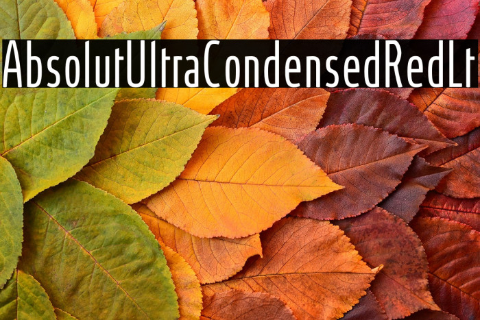 AbsolutUltraCondensedRed-Lt Example 1