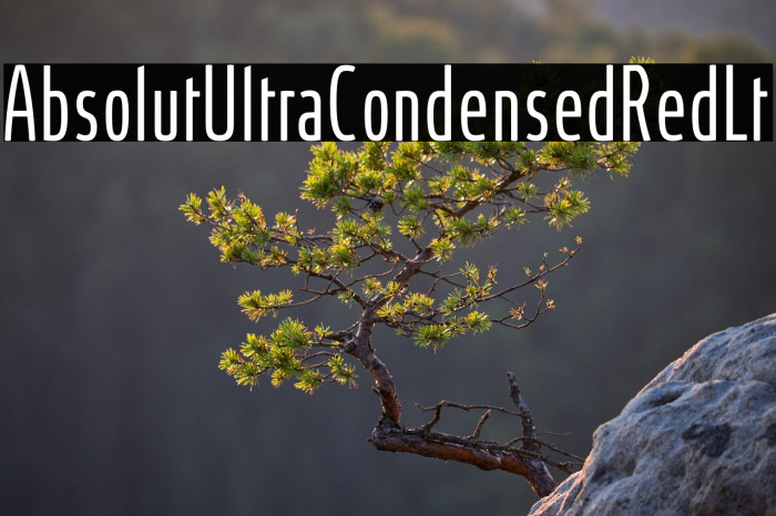 AbsolutUltraCondensedRed-Lt Example 2