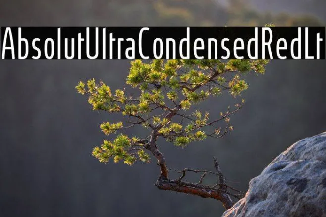 AbsolutUltraCondensedRed-Lt Example 2