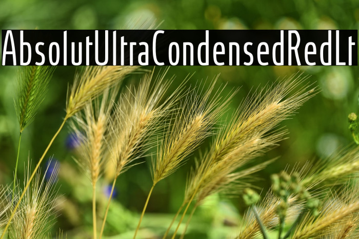 AbsolutUltraCondensedRed-Lt Example 3