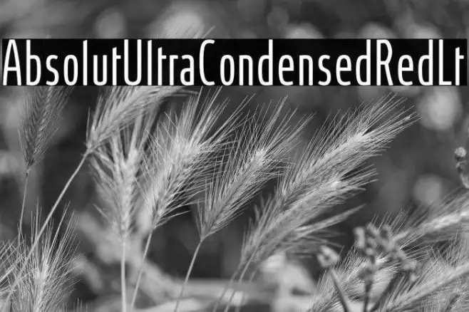 AbsolutUltraCondensedRed-Lt Example 3