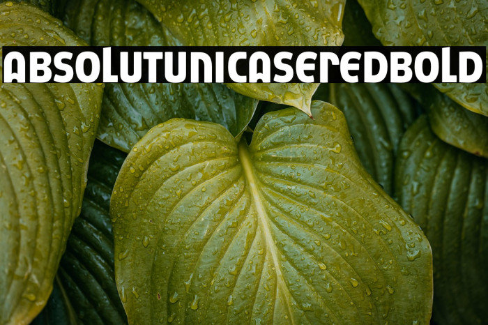 AbsolutUnicaseRed-Bold Example 1
