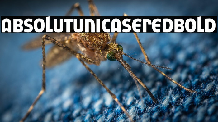 AbsolutUnicaseRed-Bold Example 2