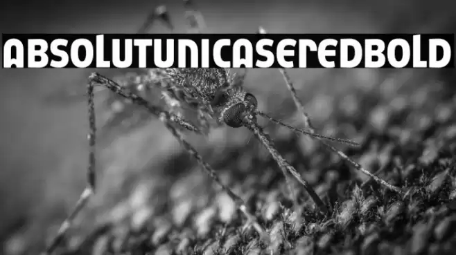 AbsolutUnicaseRed-Bold Font examples