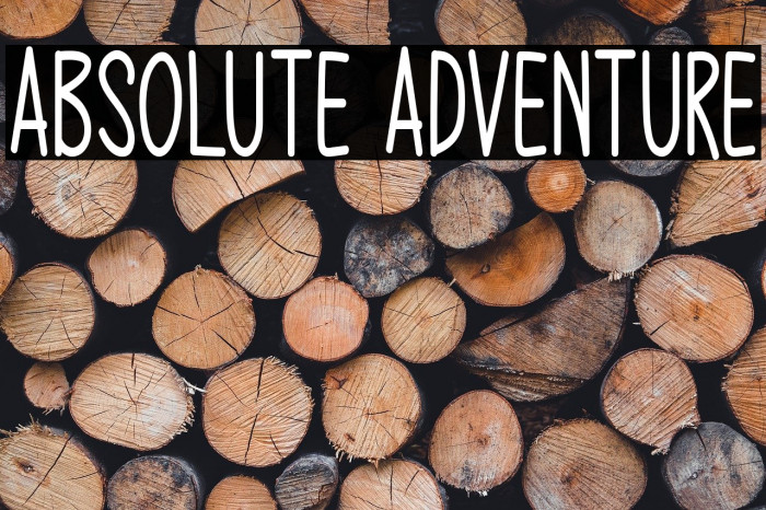 Absolute Adventure Example 2