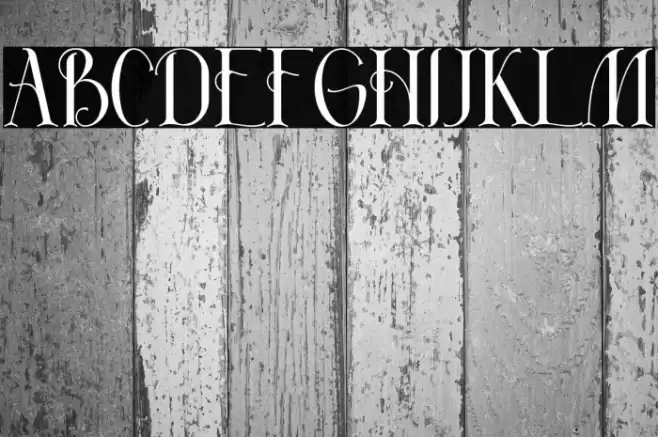 Absolute - Demo Font examples