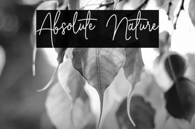 Absolute Nature Font examples