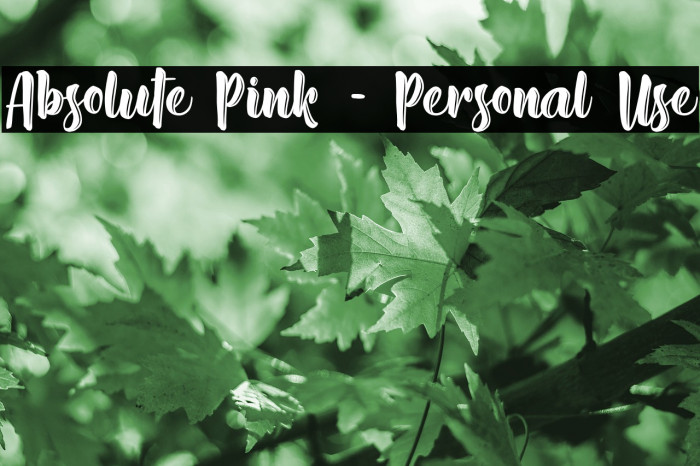 Absolute Pink - Personal Use Fuentes examples