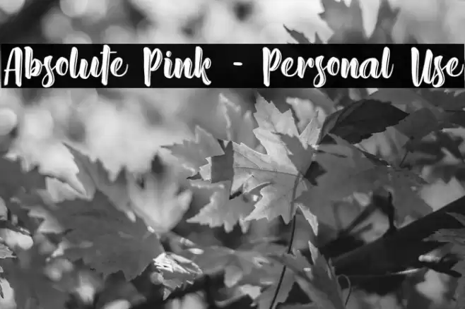 Absolute Pink - Personal Use Font examples