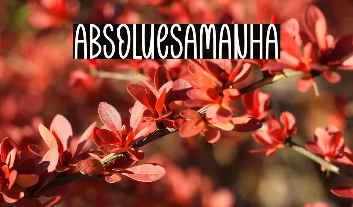 Absolute Samantha Example 3