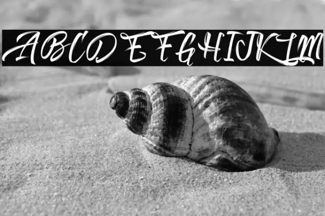 Absolute Font examples