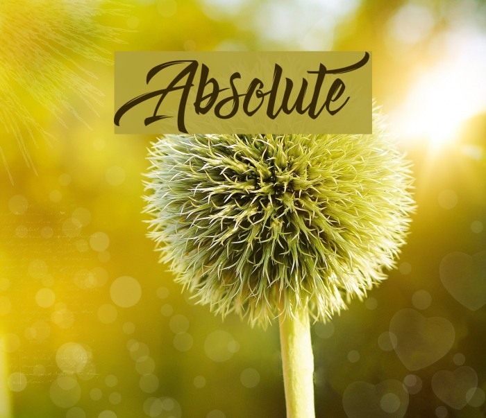Absolute Шрифта examples