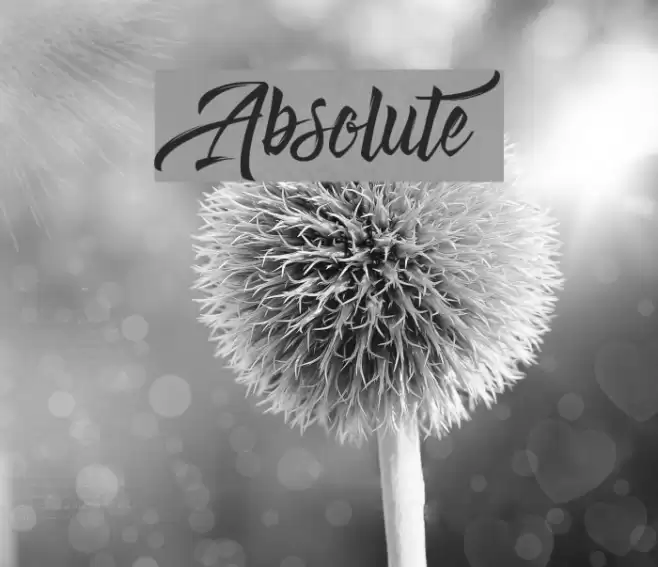 Absolute Font examples