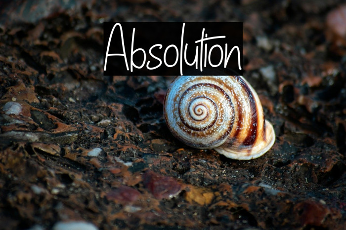 Absolution Example 3