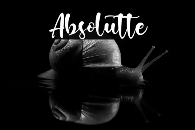 Absolutte Font examples