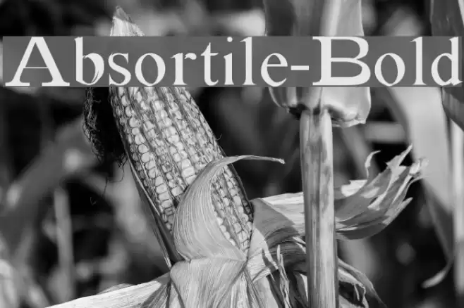 Absortile-Bold Font examples