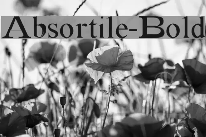 Absortile-Bold Font examples