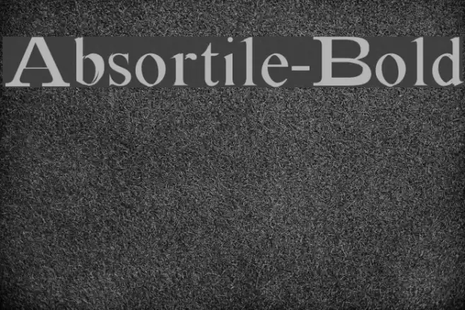 Absortile-Bold Font examples