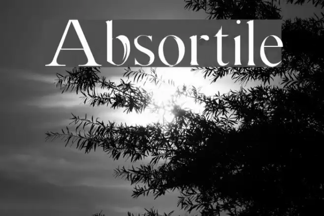 Absortile Font examples