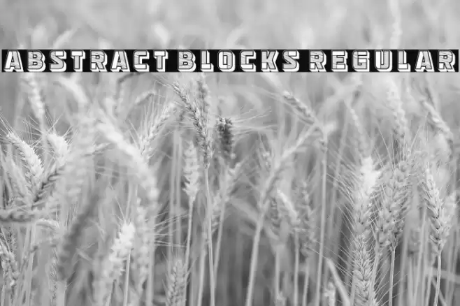 Abstract Blocks Regular フォント examples