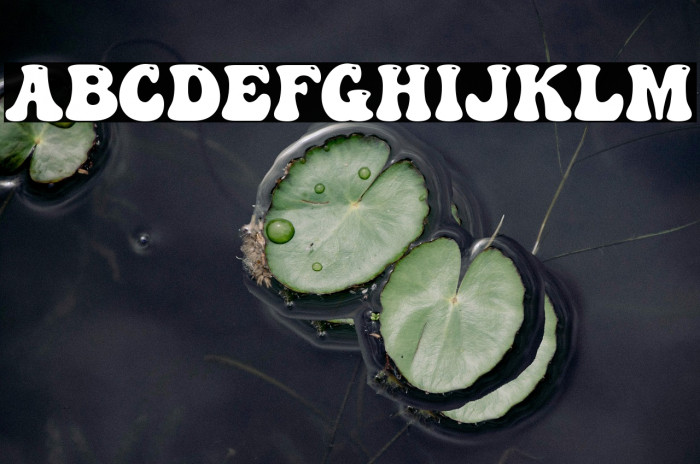 Abstract Groovy Example 1