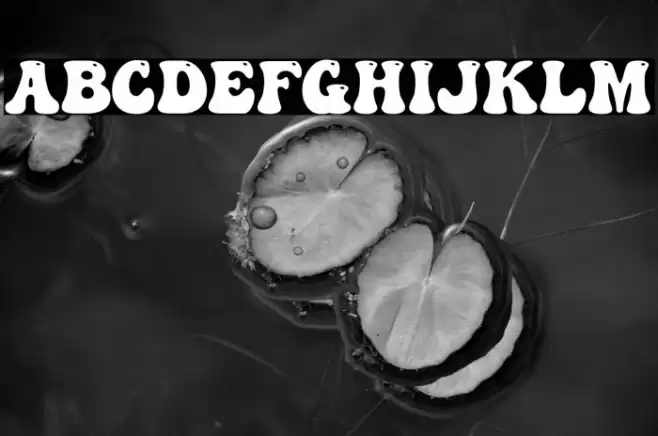 Abstract Groovy Font examples