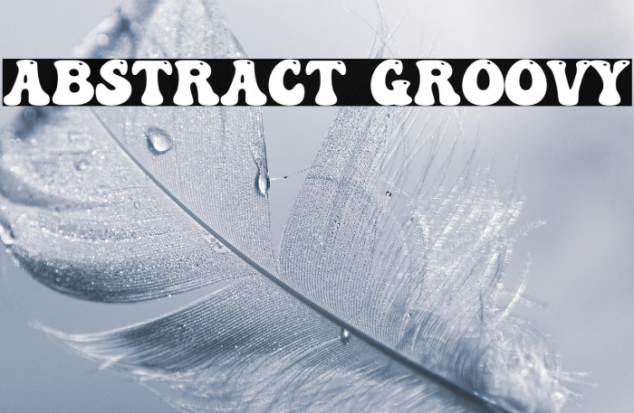 Abstract Groovy Example 2