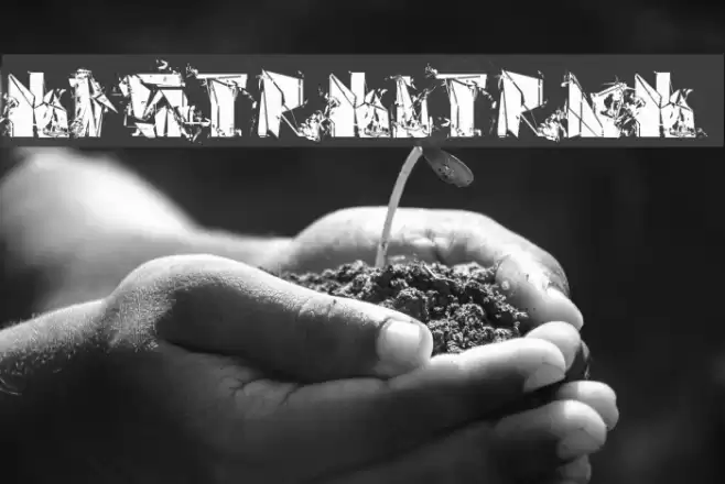 Abstract Rua フォント examples