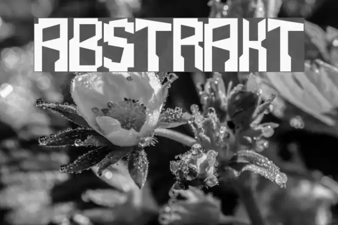 Abstrakt Fonte examples