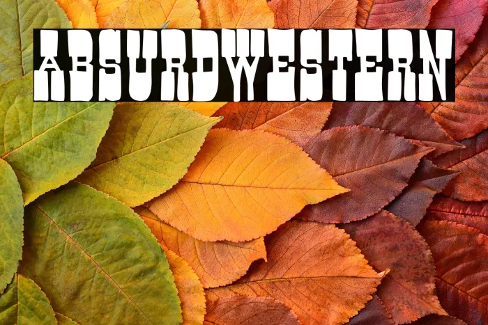 Absurd Western Example 3