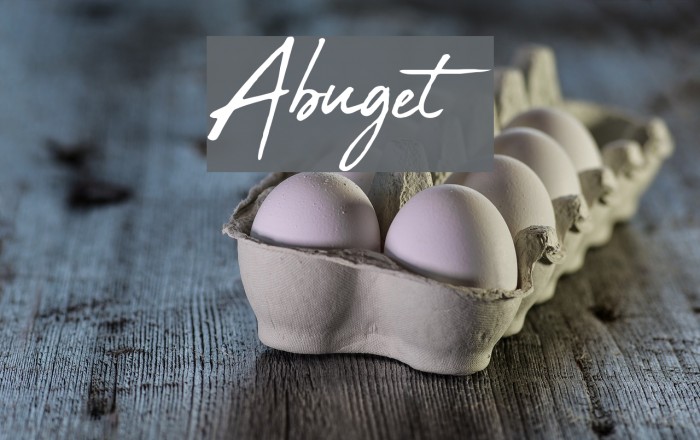 Abuget Fuentes examples