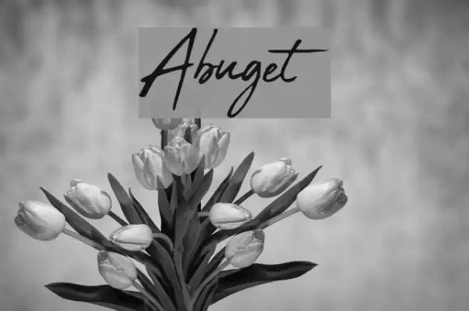 Abuget Fuentes examples