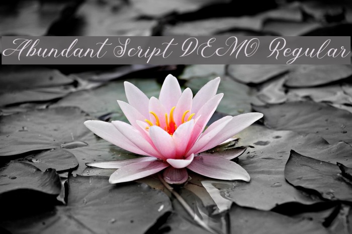 Abundant Script DEMO Regular Font examples