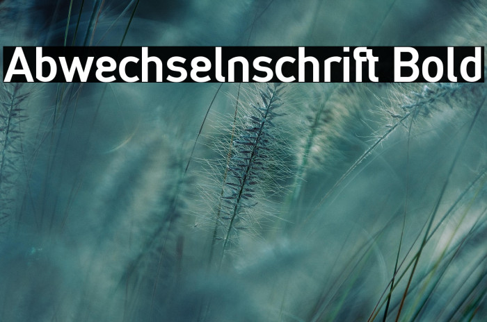Abwechselnschrift Bold Example 2