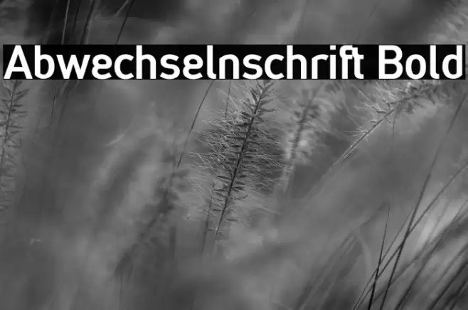Abwechselnschrift Bold خط examples