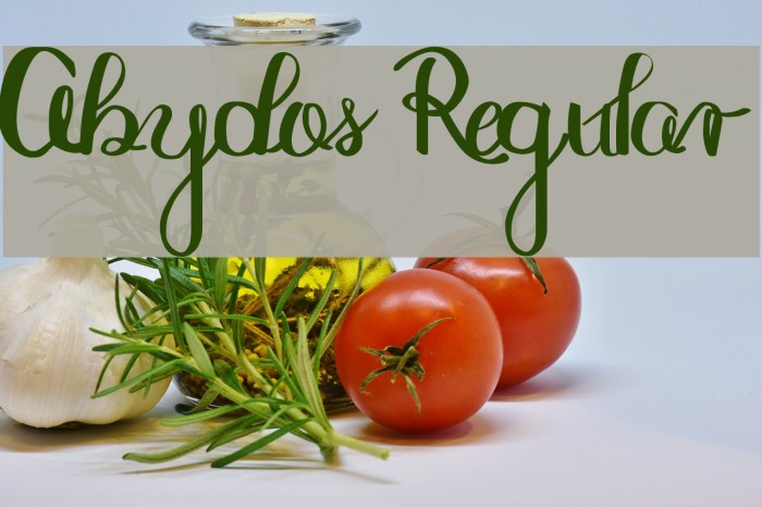 Abydos Regular Font examples