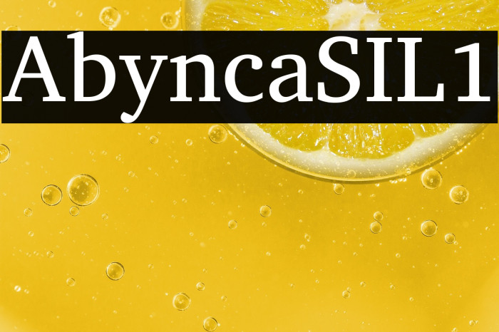 Abyssinica SIL1 Example 3