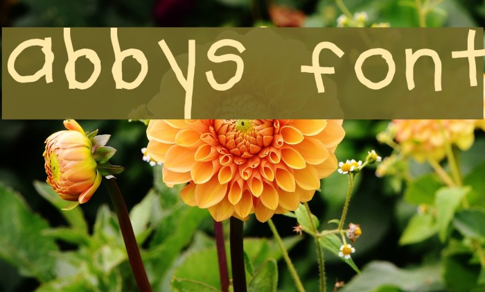 abbys font Font examples