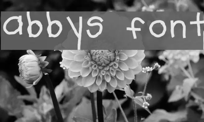 abbys font Example 1