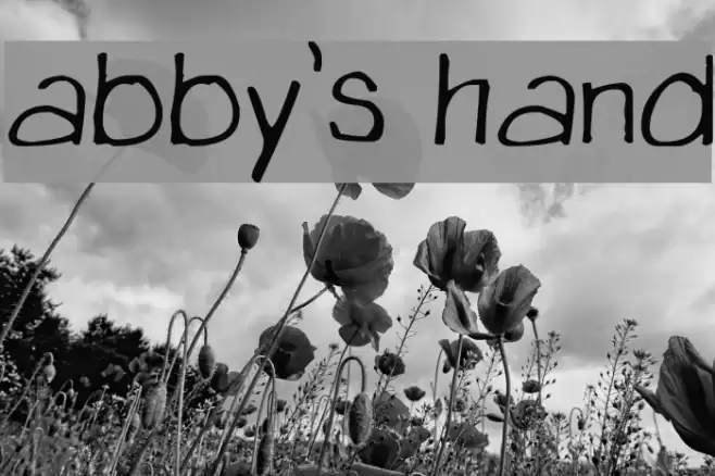 abby's hand Font examples