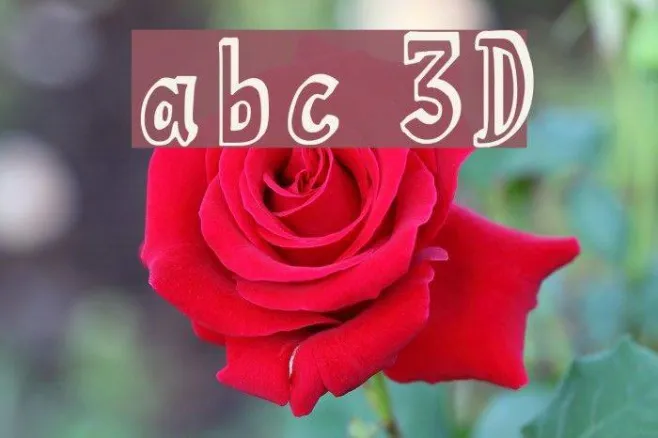 abc 3D Example 3