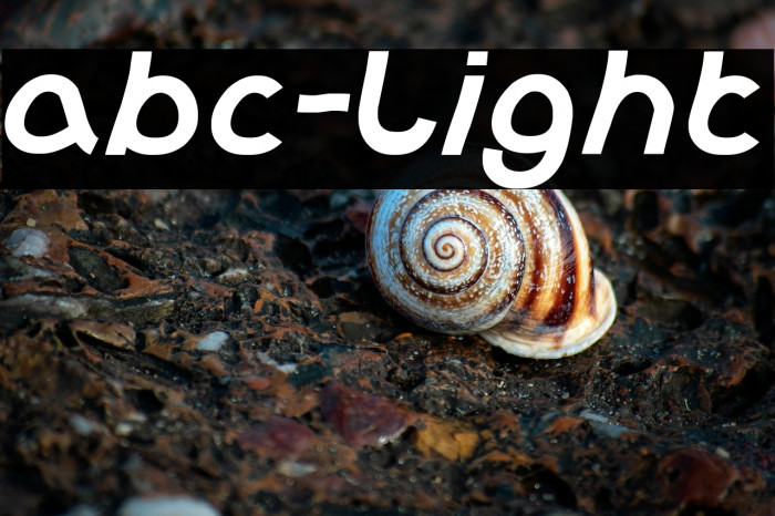 abc-Light Example 1