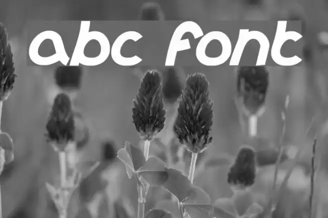 abc Font examples